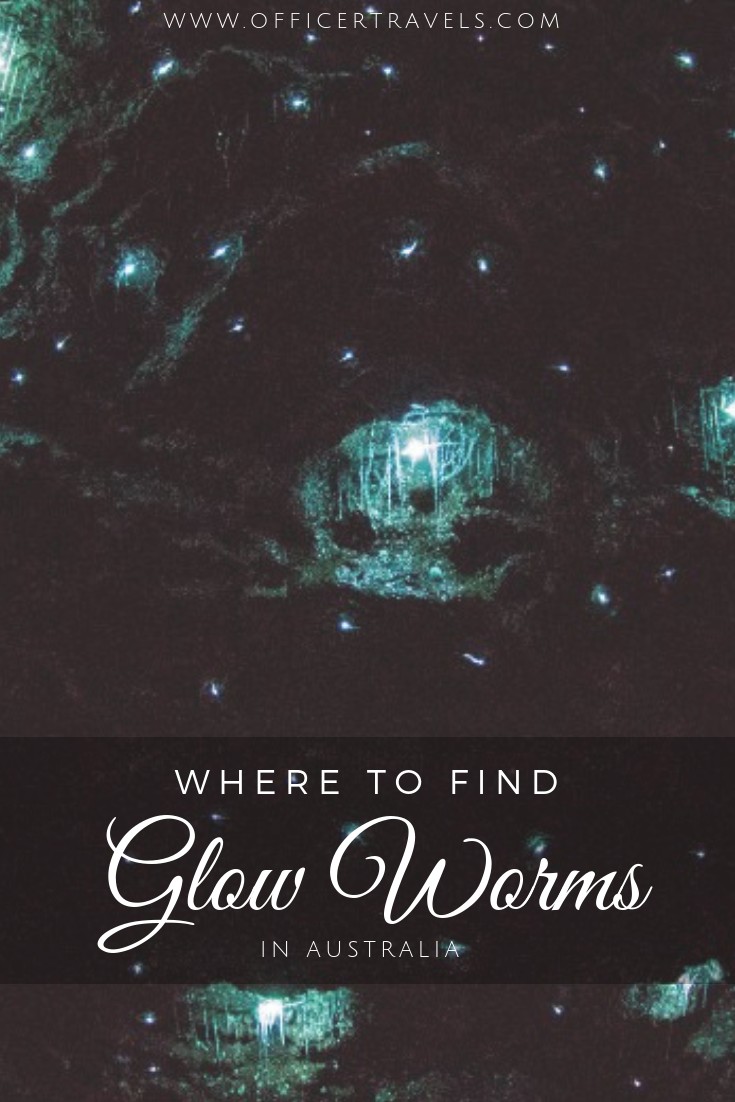 Seeing glow worms in a once in a lifetime experience, especially since they can only be found in Australia and New Zealand. Find out where you can find them in Australia, as well as why this tour is one of the most eco-friendly in the country | #glowowrms #nationalparks #cavetours